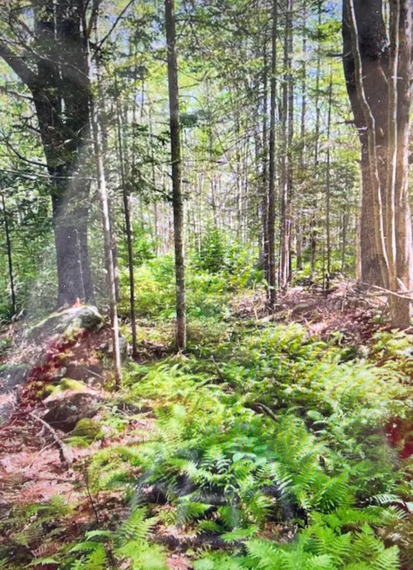 3 Stonewyck Lane, Damariscotta, ME 04543