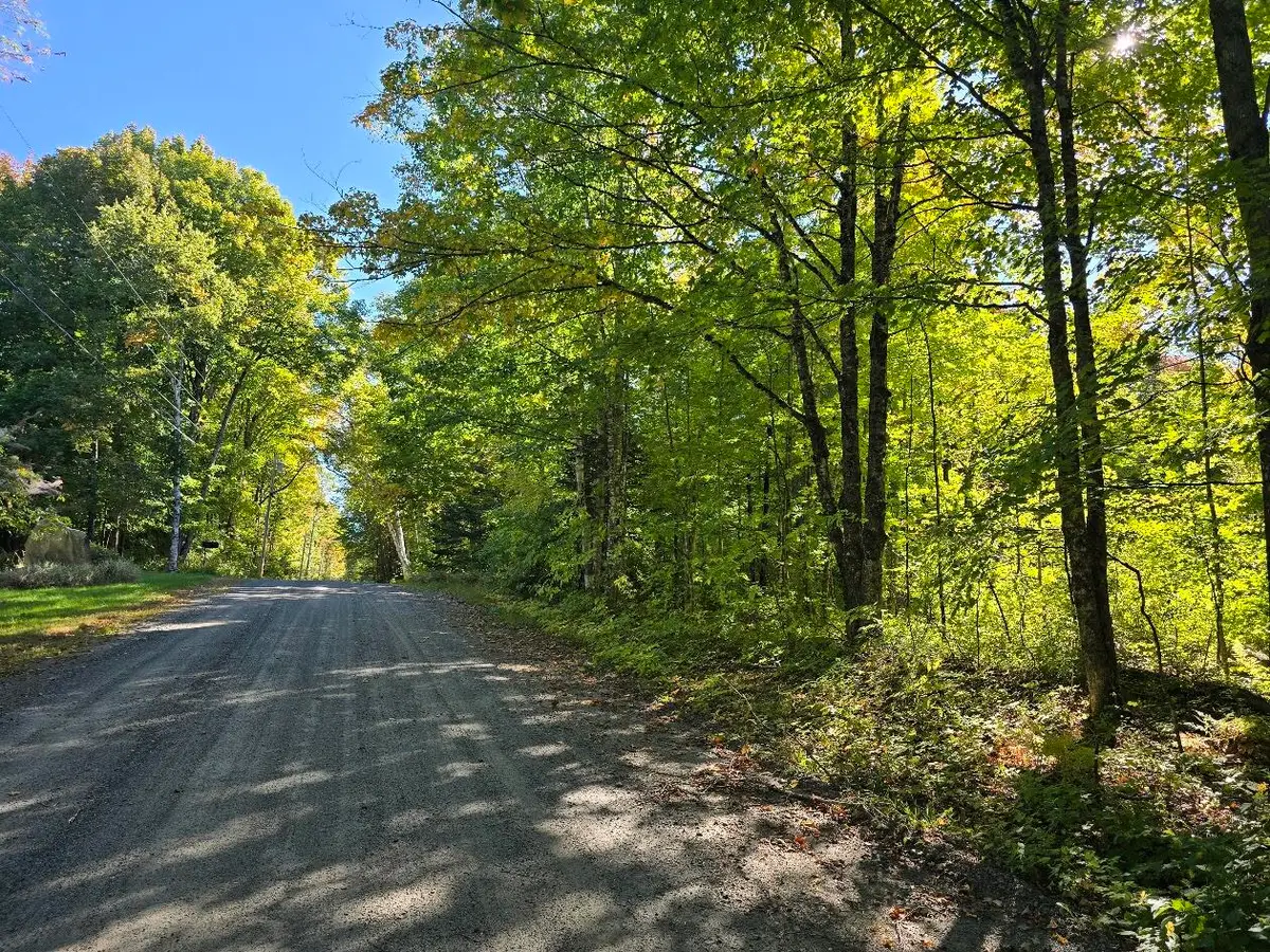 Lot# 30 Ladd Road, Northeast Piscataquis, ME 04414 - #1