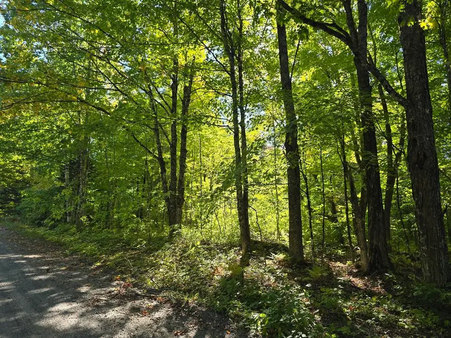Lot# 30 Ladd Road, Northeast Piscataquis, ME 04414 - #2