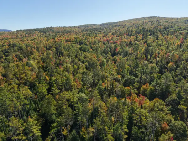 5 232 Route, Milton Twp, ME 04219