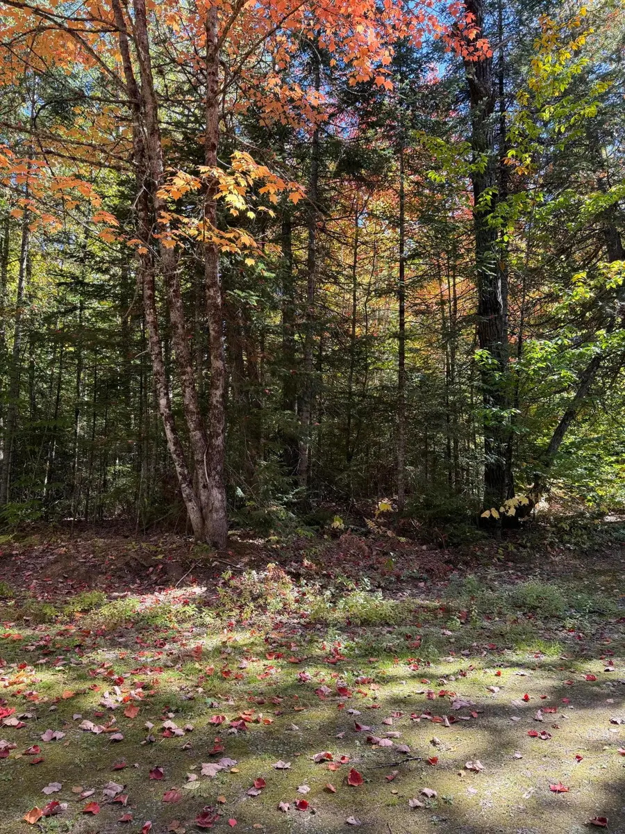 43 Hinds Road, Wyman, ME 04947 - #2