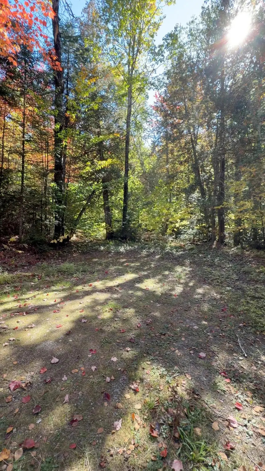 43 Hinds Road, Wyman, ME 04947 - #3