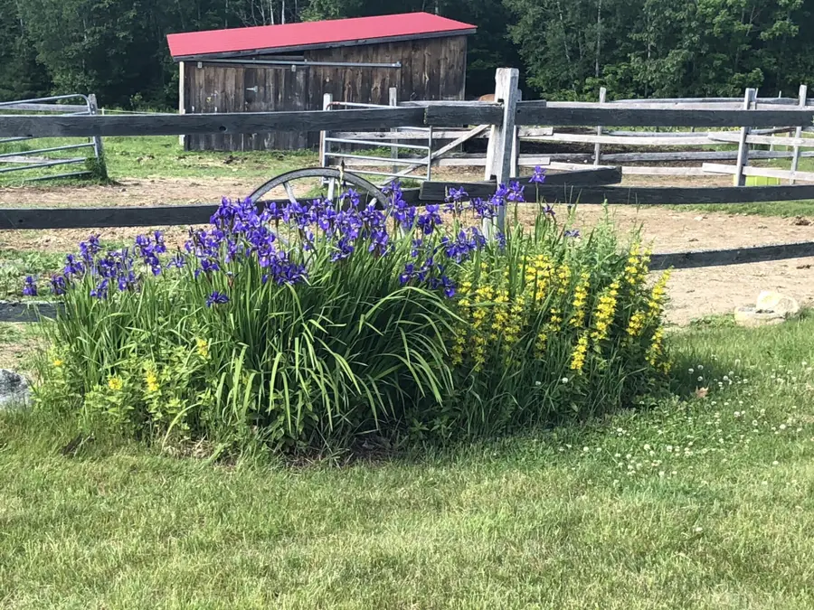 56 Town Farm Estate, Paris, ME 04281 - #2