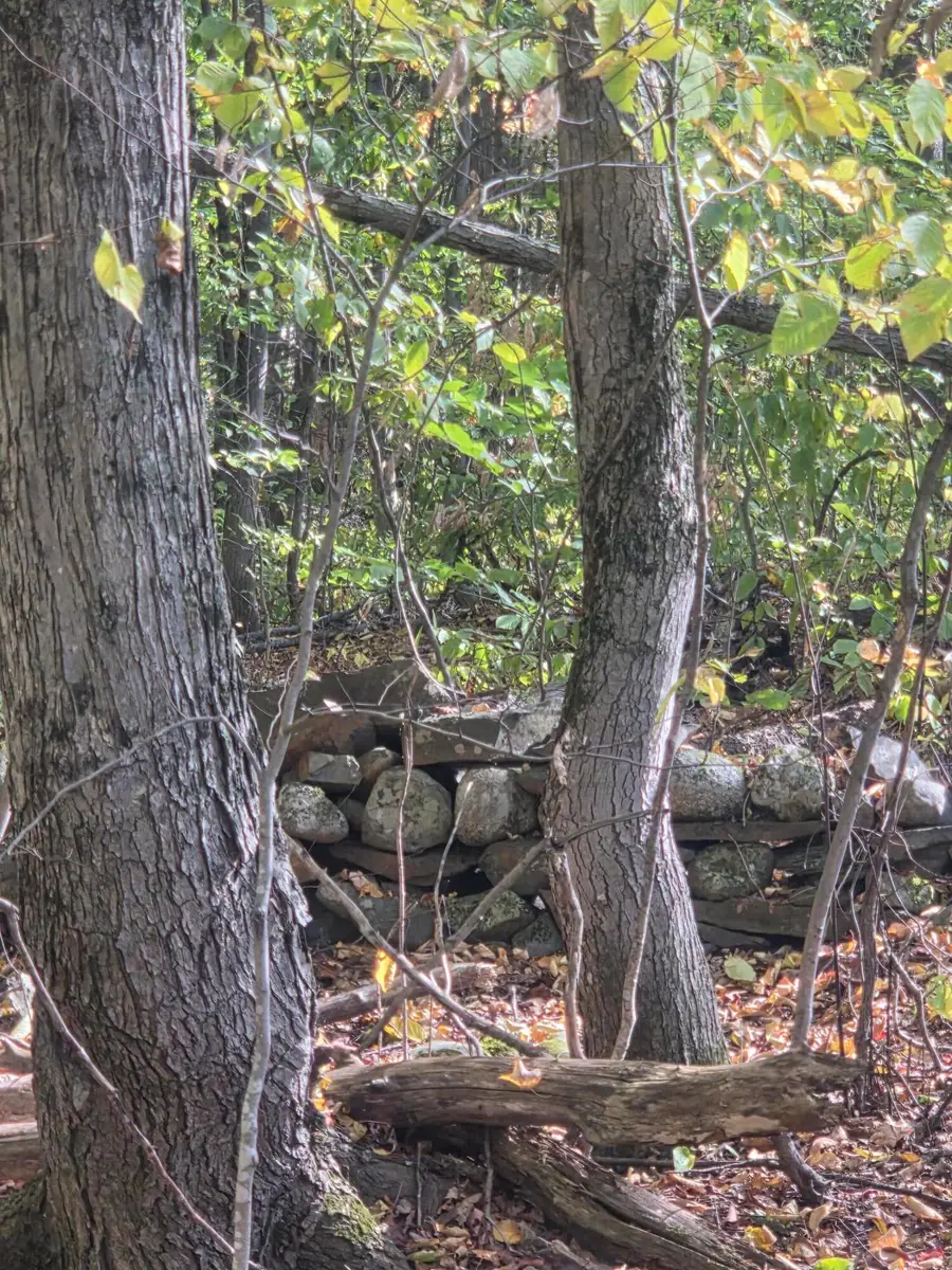 L4-01 Staples Road, Farmington, ME 04938 - #3