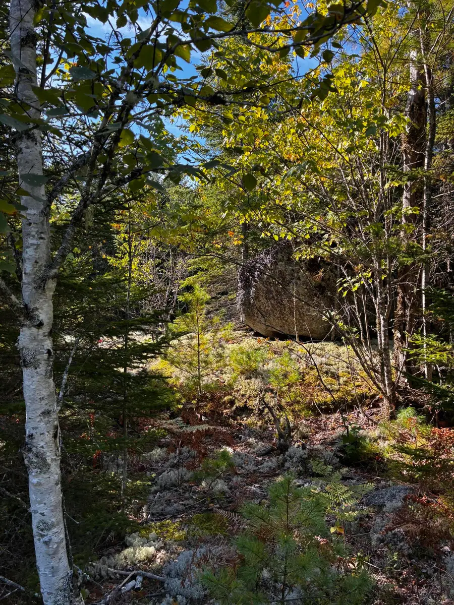 14 Acadia View, Franklin, ME 04634 - #3