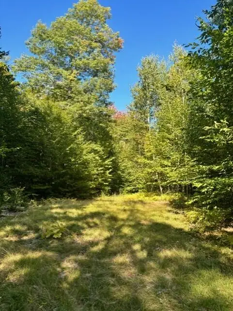 0 Beech Ridge Road, Jay, ME 04239 - #1