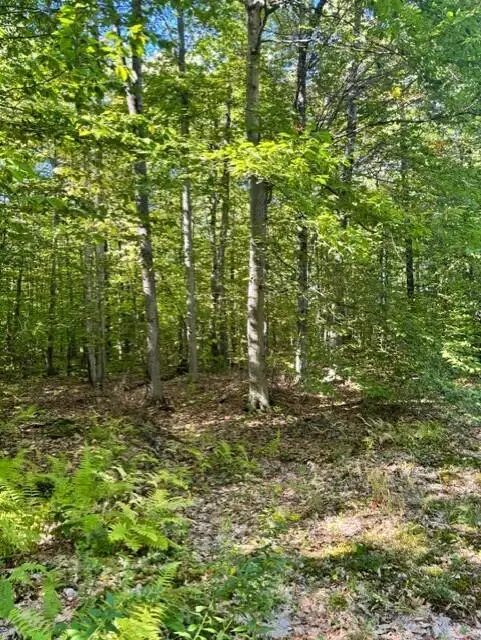 0 Beech Ridge Road, Jay, ME 04239 - #3