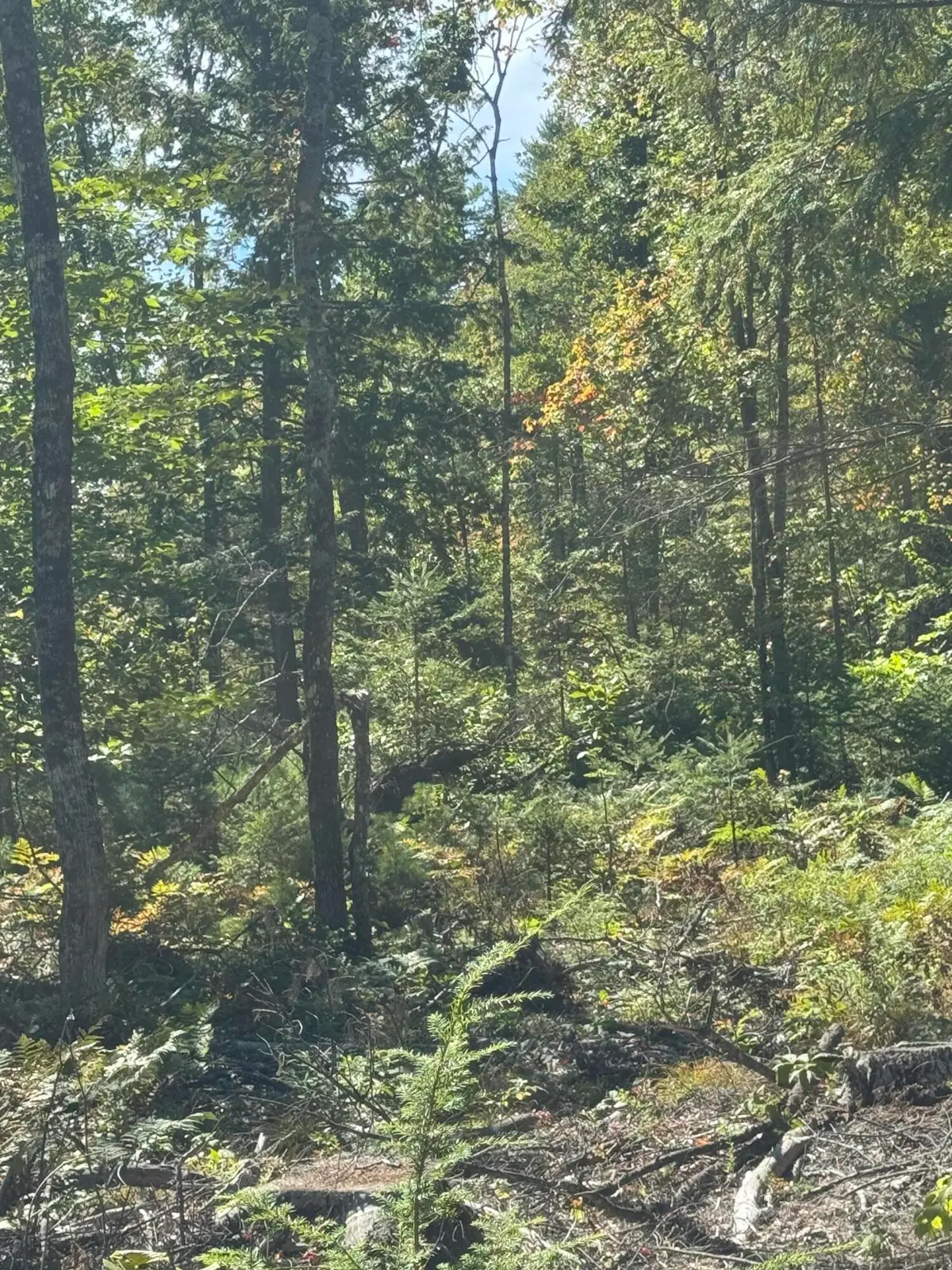 Lot 31-I Old Waterford Road, Lovell, ME 04051 - #1