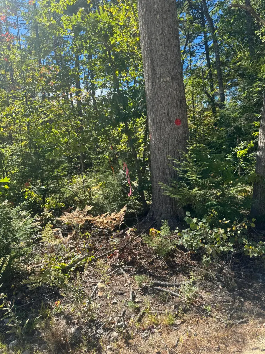 Lot 31-I Old Waterford Road, Lovell, ME 04051 - #3