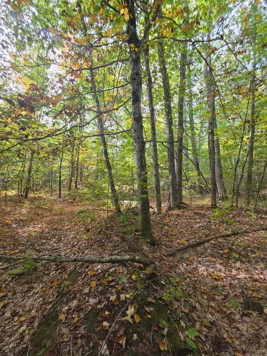 0073082621 Egypt Road, Gray, ME 04039 - #3