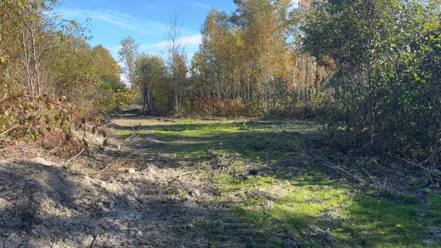 M36L25 Lot 25, Grand Isle, ME 04746 - #2