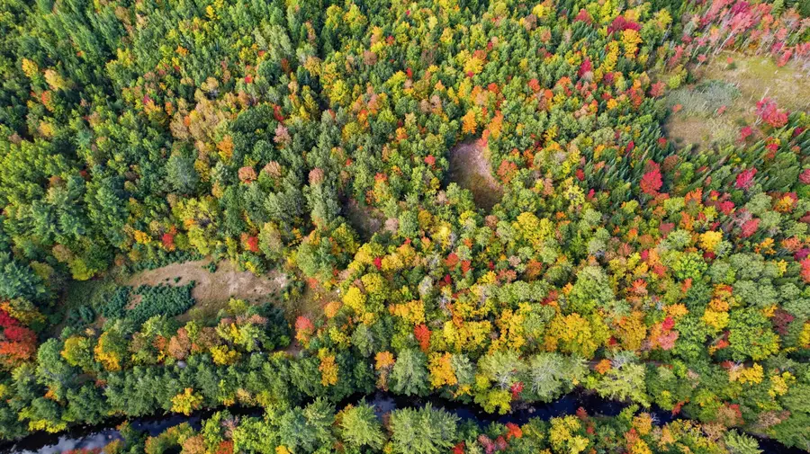Lot 6 River Road, Sumner, ME 04292 - #2