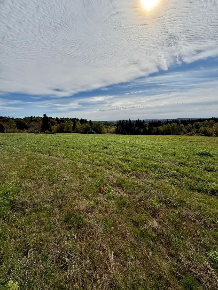 M27 L2 Joachim Road, Madawaska, ME 04756 - #3