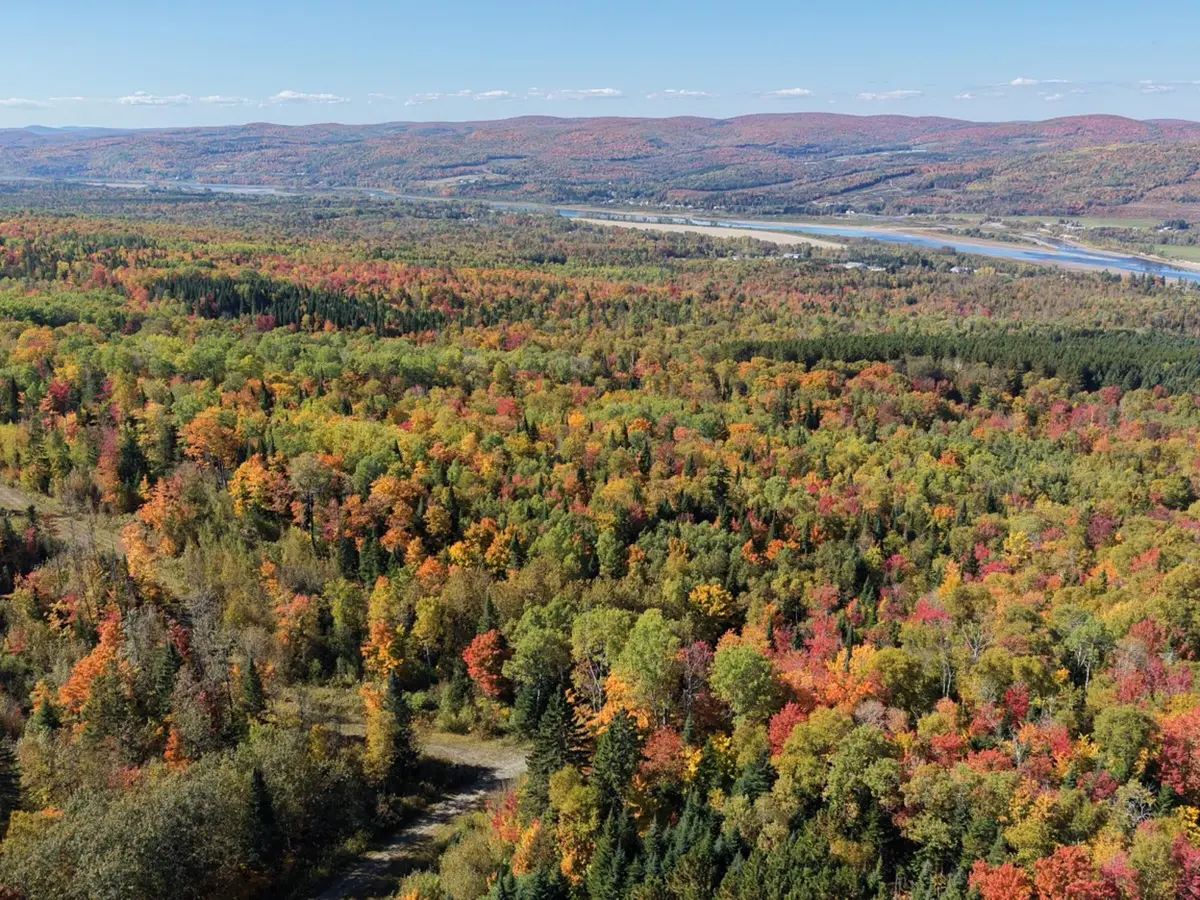 2/2A/2B/2C Jalbert Road, Saint John, ME 04743 - #1