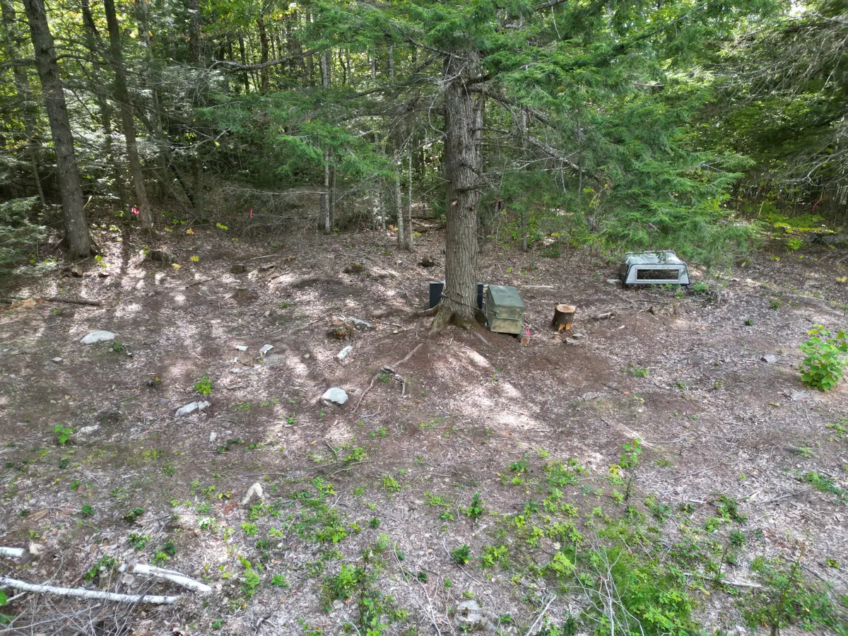 Off  Skunk Hill Road, Lee, ME 04455 - #1