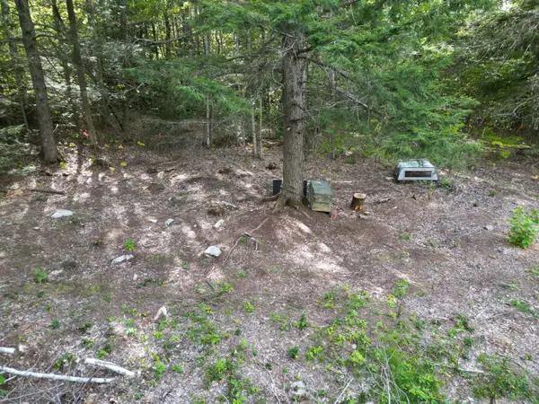 Off  Skunk Hill Road, Lee, ME 04455
