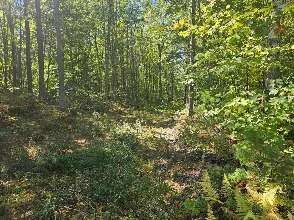 Lot 9F Pequawket Trail, Standish, ME 04084 - #1