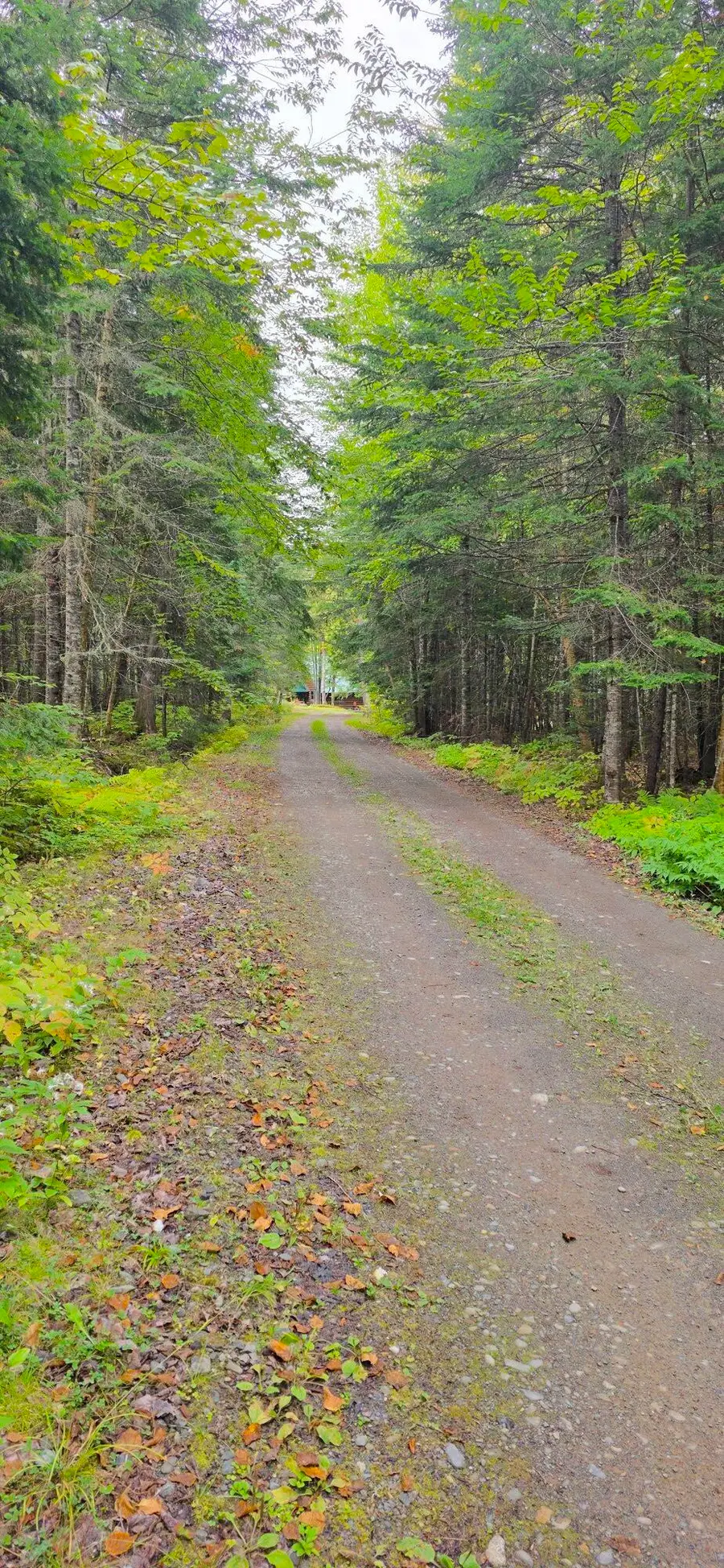 9 Jerry's Road, Masardis, ME 04732 - #3