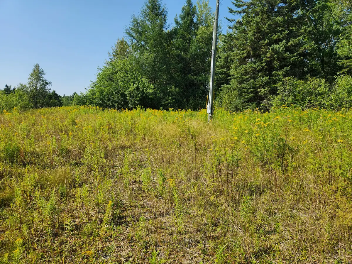 290 Burleigh Road, Westfield, ME 04787 - #1