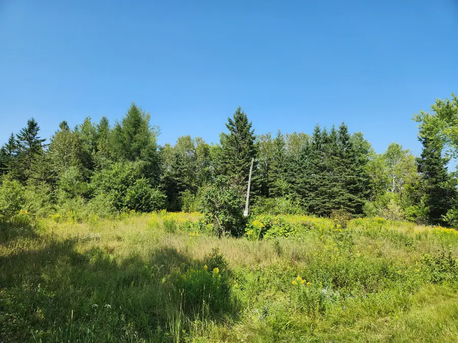 290 Burleigh Road, Westfield, ME 04787 - #2