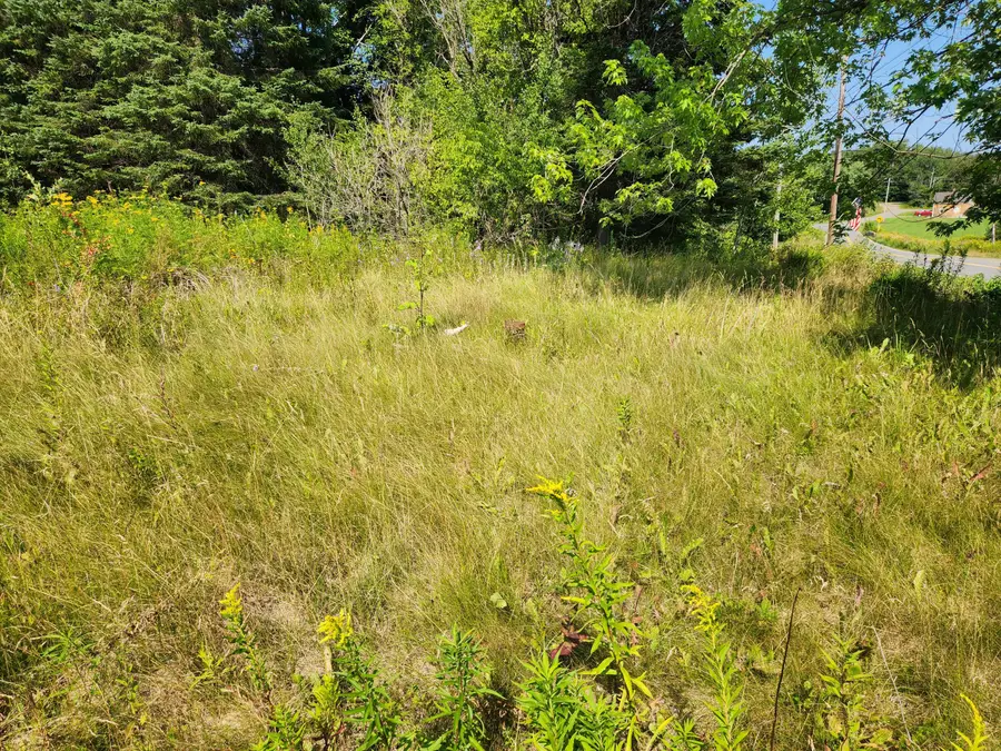 290 Burleigh Road, Westfield, ME 04787 - #3