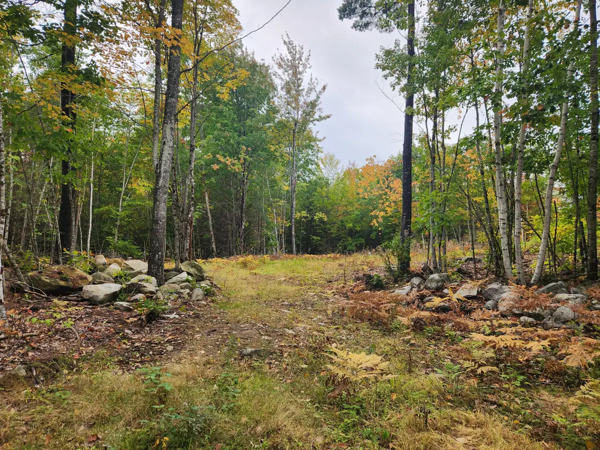 Lot 6 Willy's Way, Buckfield, ME 04220 - #1