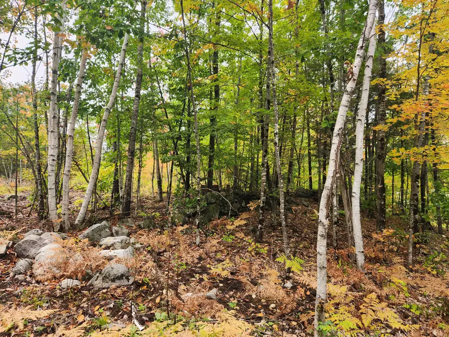 Lot 6 Willy's Way, Buckfield, ME 04220 - #2