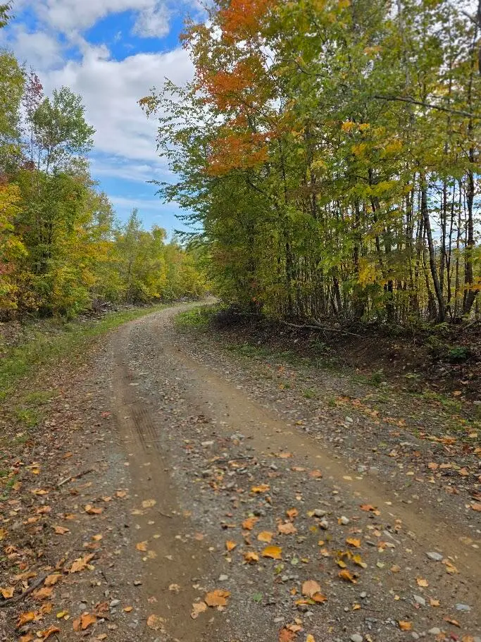 M 12 L 33 Vinegar Hill Road, Carroll, ME 04487 - #1