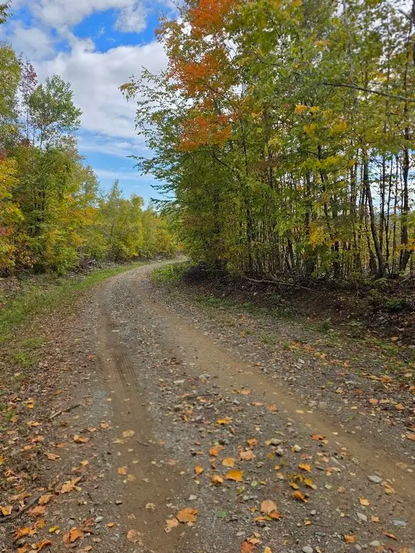 M 12 L 33 Vinegar Hill Road, Carroll Plt, ME 04487