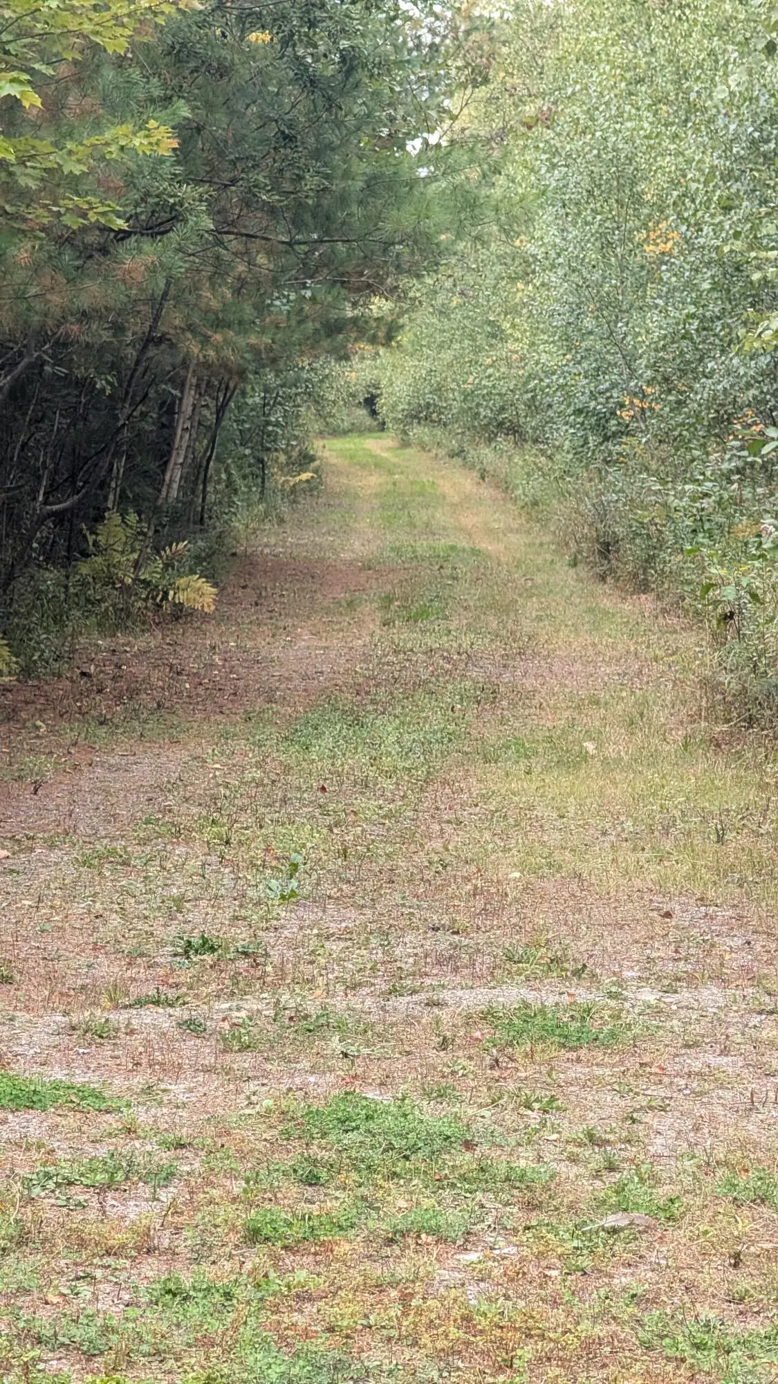 Lot 19 Cram Street, Bradley, ME 04411 - #1