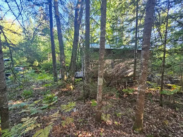 M11L1 Wilder Davis Road, Hudson, ME 04449