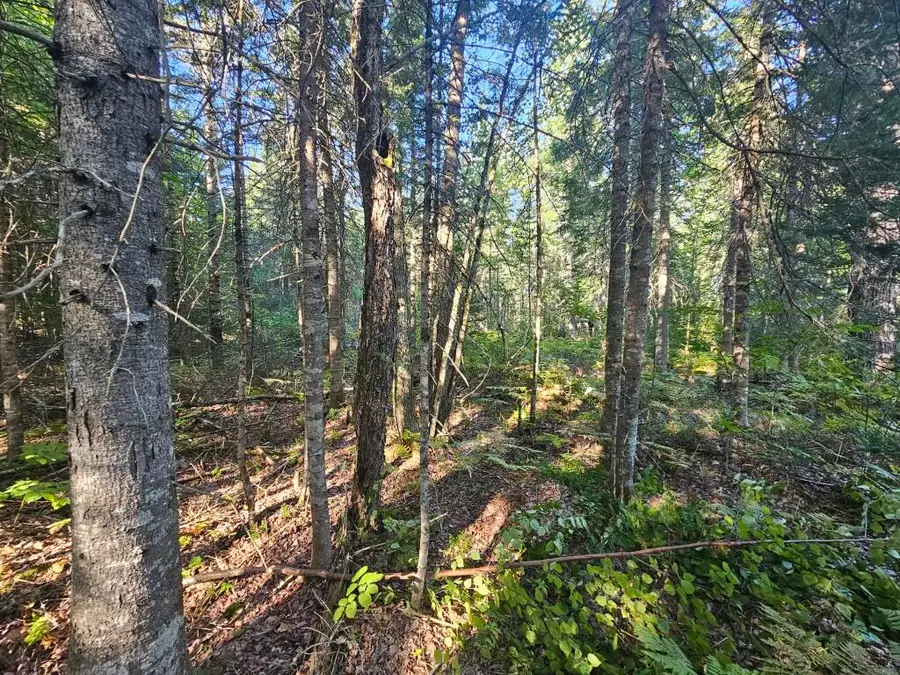 M11L1 Wilder Davis Road, Hudson, ME 04449 - #2