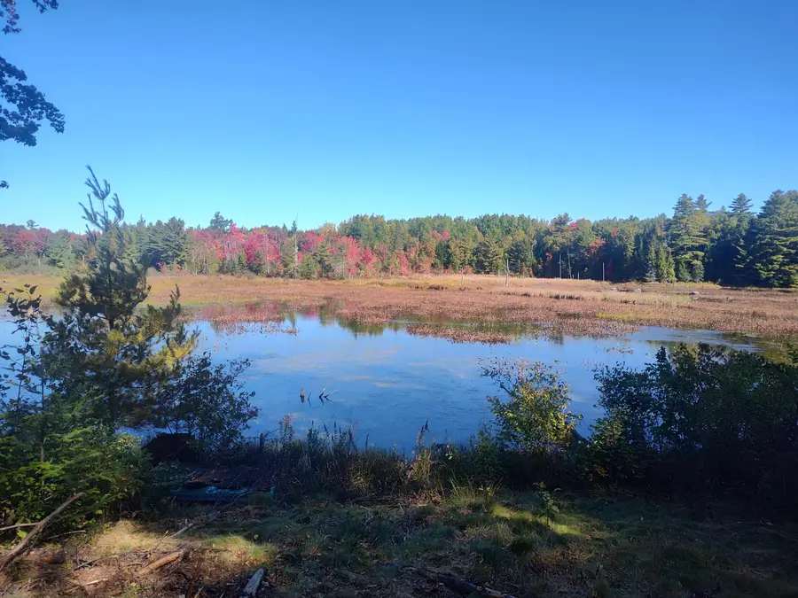215 Woodman Mill Road, Lowell, ME 04493 - #3