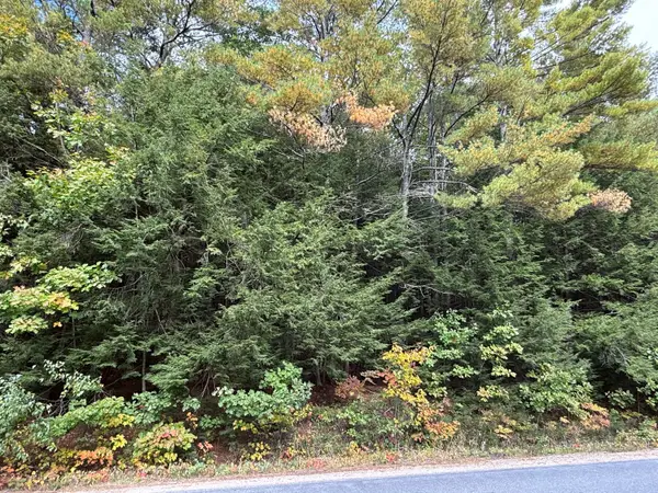M43 L5 Shady Nook Road, Newfield, ME 04095