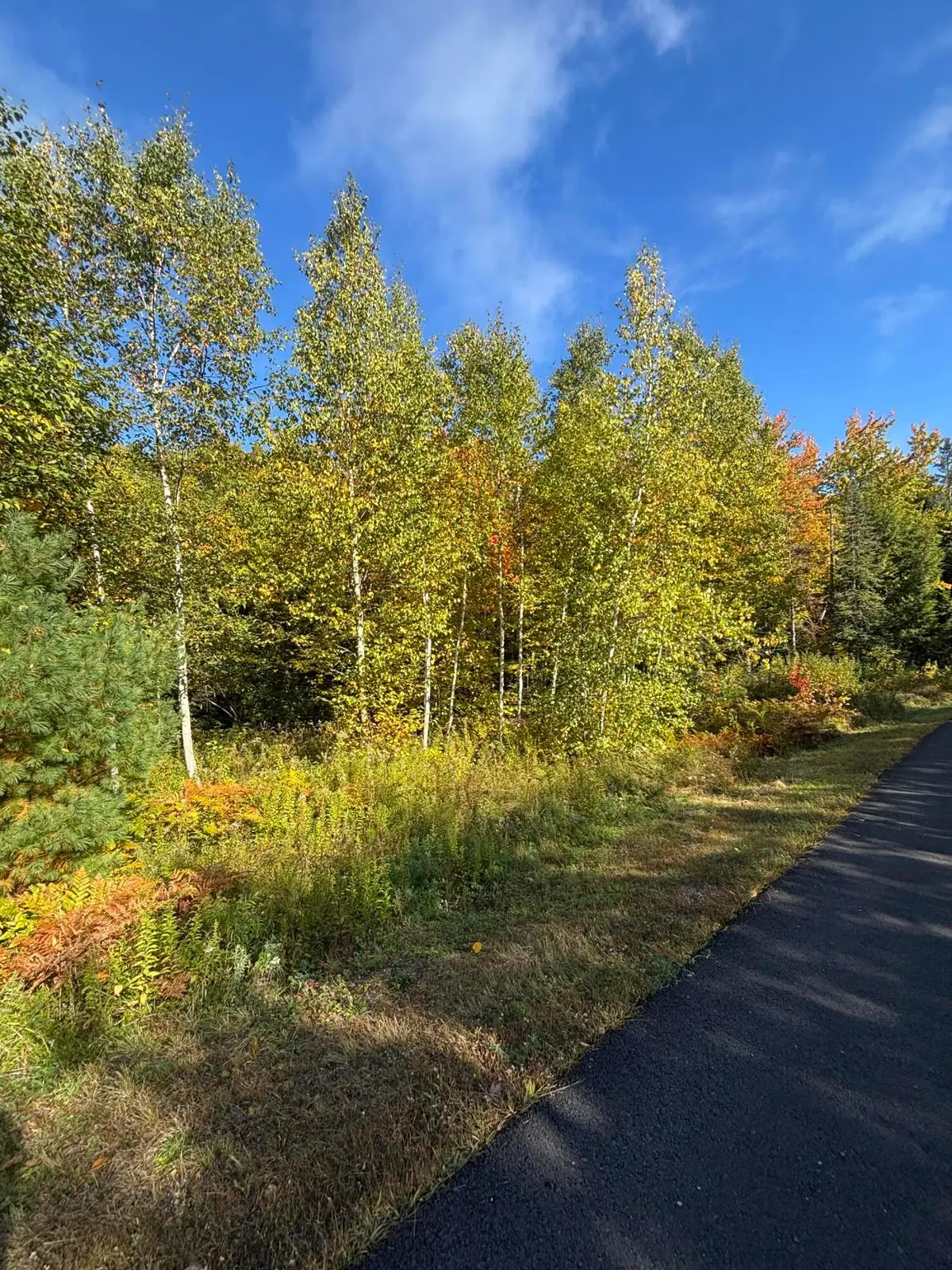 Lot #13 Pine Grove Lane, Etna, ME 04434 - #1
