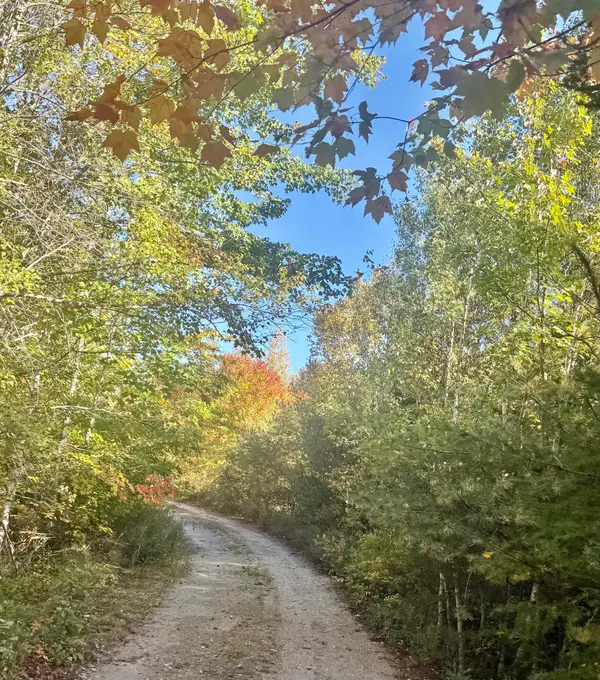 Lot 4 Number 7 Road, Steuben, ME 04680