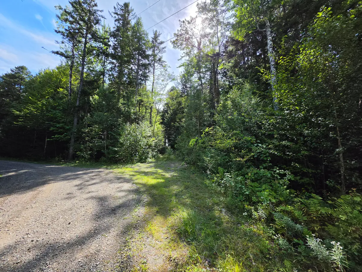 6 Jipony Way, Lakeville, ME 04487 - #1