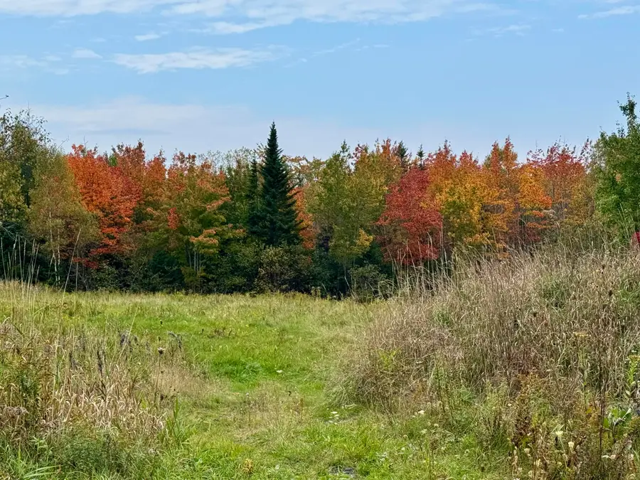 Lot 28 Huntley Lane, Machias, ME 04654 - #2