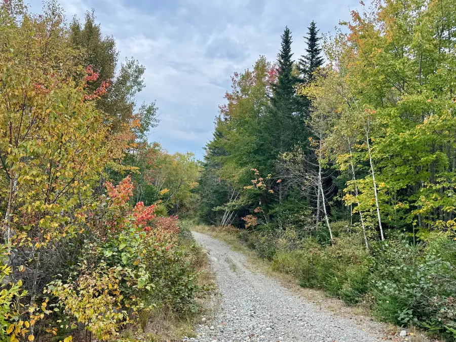 Lot 28 Huntley Lane, Machias, ME 04654 - #3
