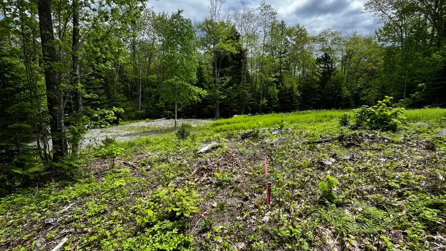 Lot 16 North Ridge Road, Cushing, ME 04563 - #3