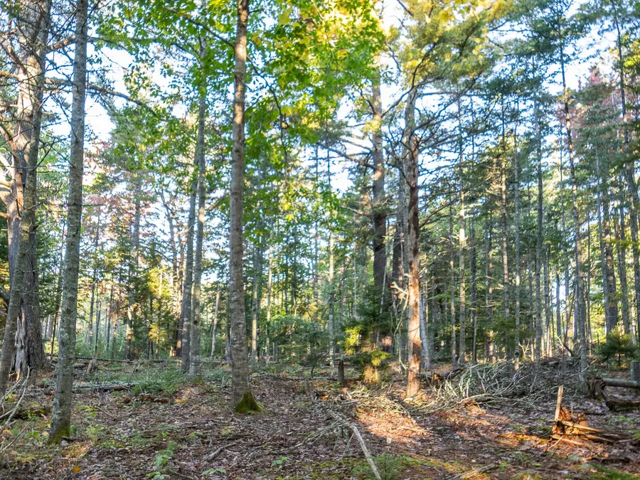 213/17/1 Knox Road, Bar Harbor, ME 04609 - #3