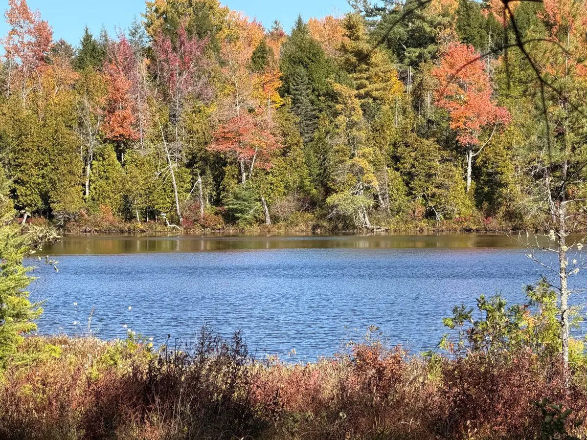 Map 302 Lot 70 Owlsboro Rd, Dexter, ME 04930 - #1