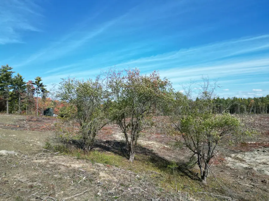 19  N Horseback Road, Burnham, ME 04922 - #3