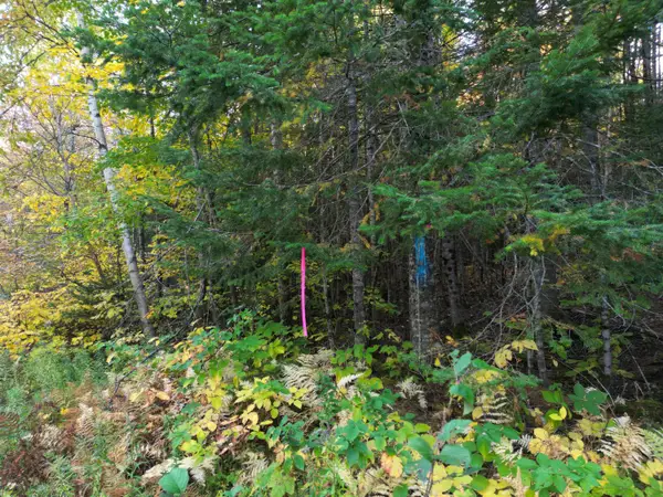 Lot 1-2 West Tucker Ridge Road, Springfield, ME 04487