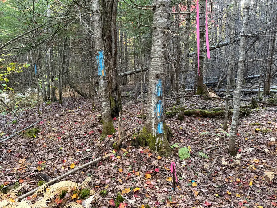 Lot 1-2 West Tucker Ridge Road, Springfield, ME 04487 - #2