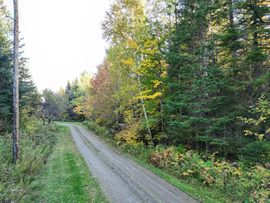 Lot 1-2 West Tucker Ridge Road, Springfield, ME 04487 - #3