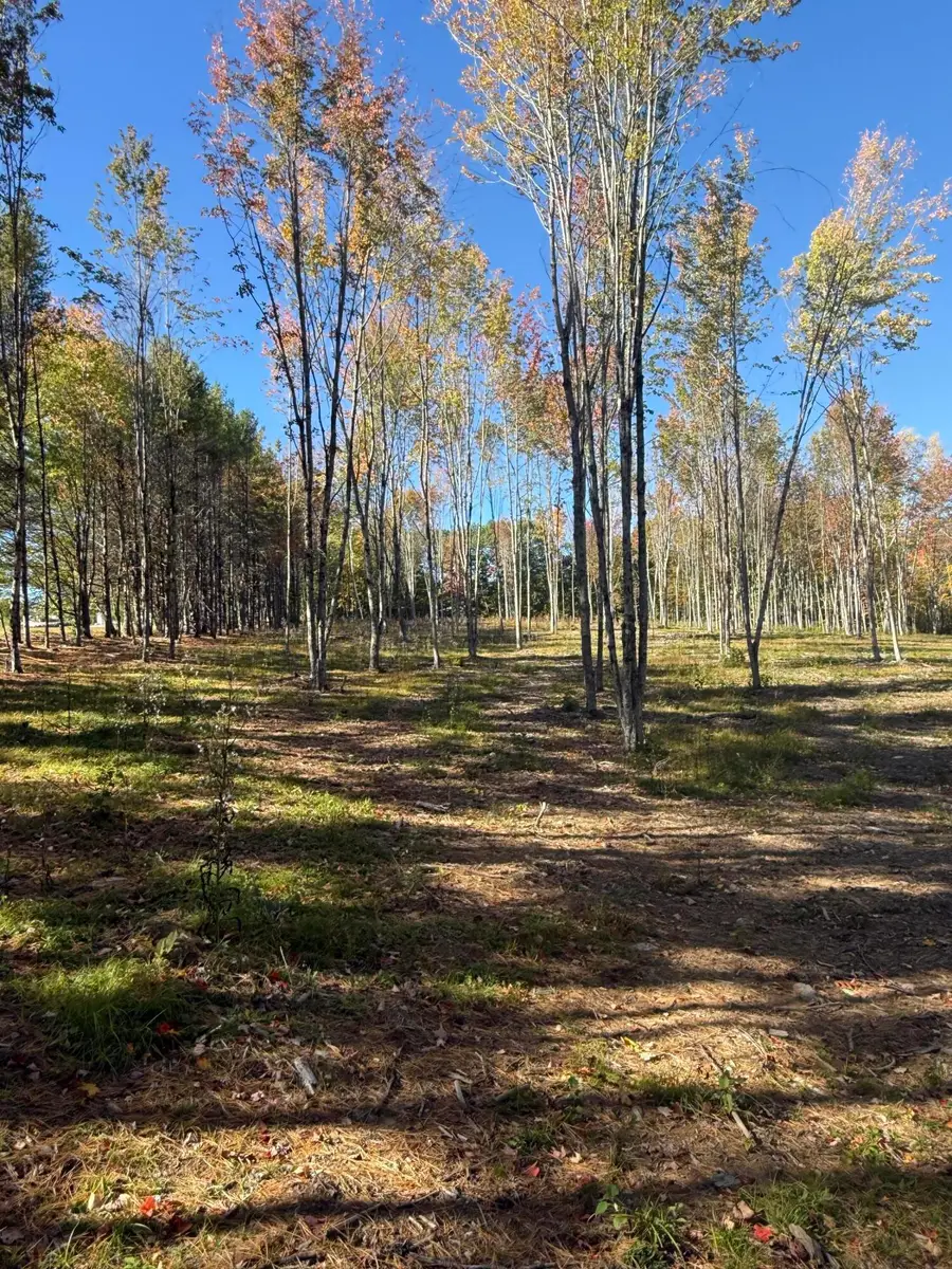 630 Youngs Ridge Road #Lot 3, Acton, ME 04001 - #2