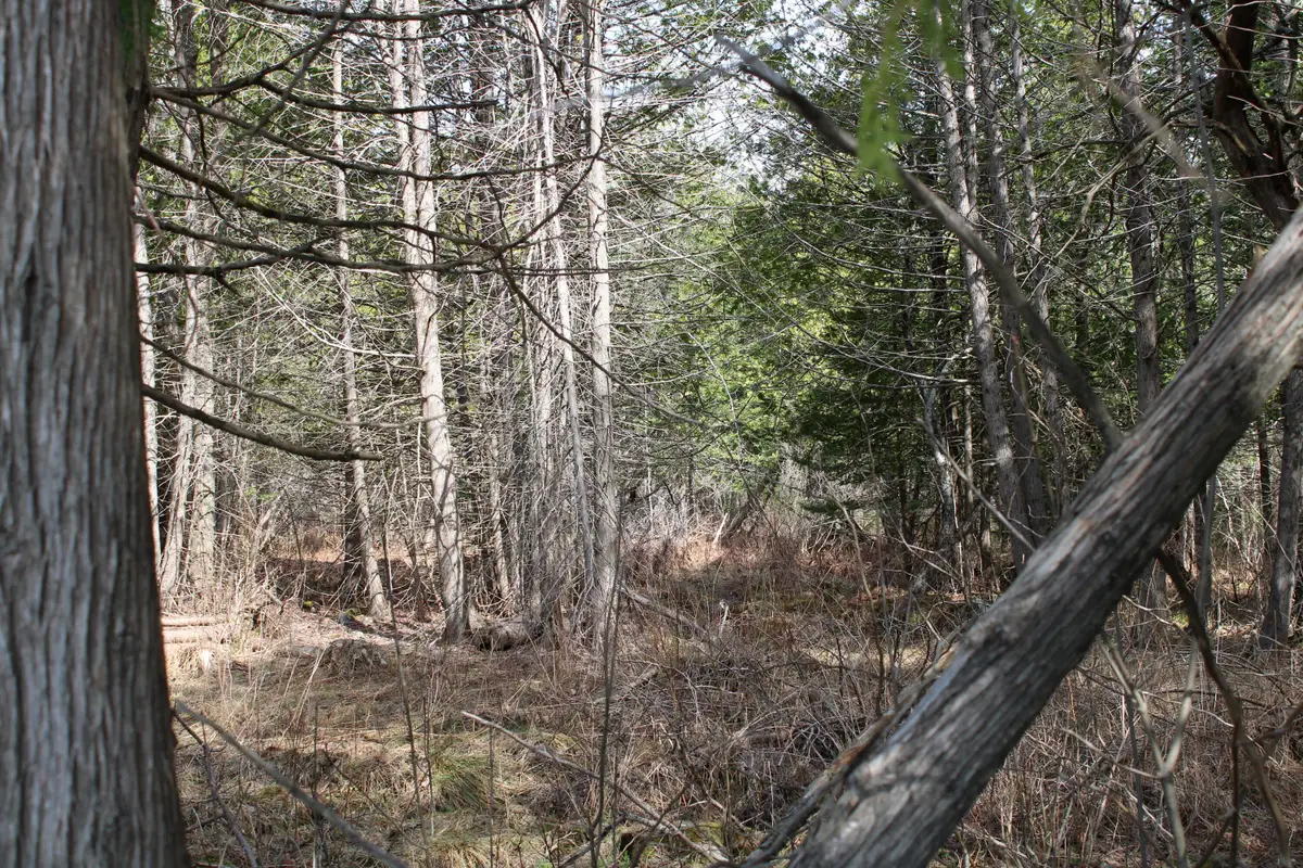 M1 L271 West Ripley Road, Ripley, ME 04930 - #1