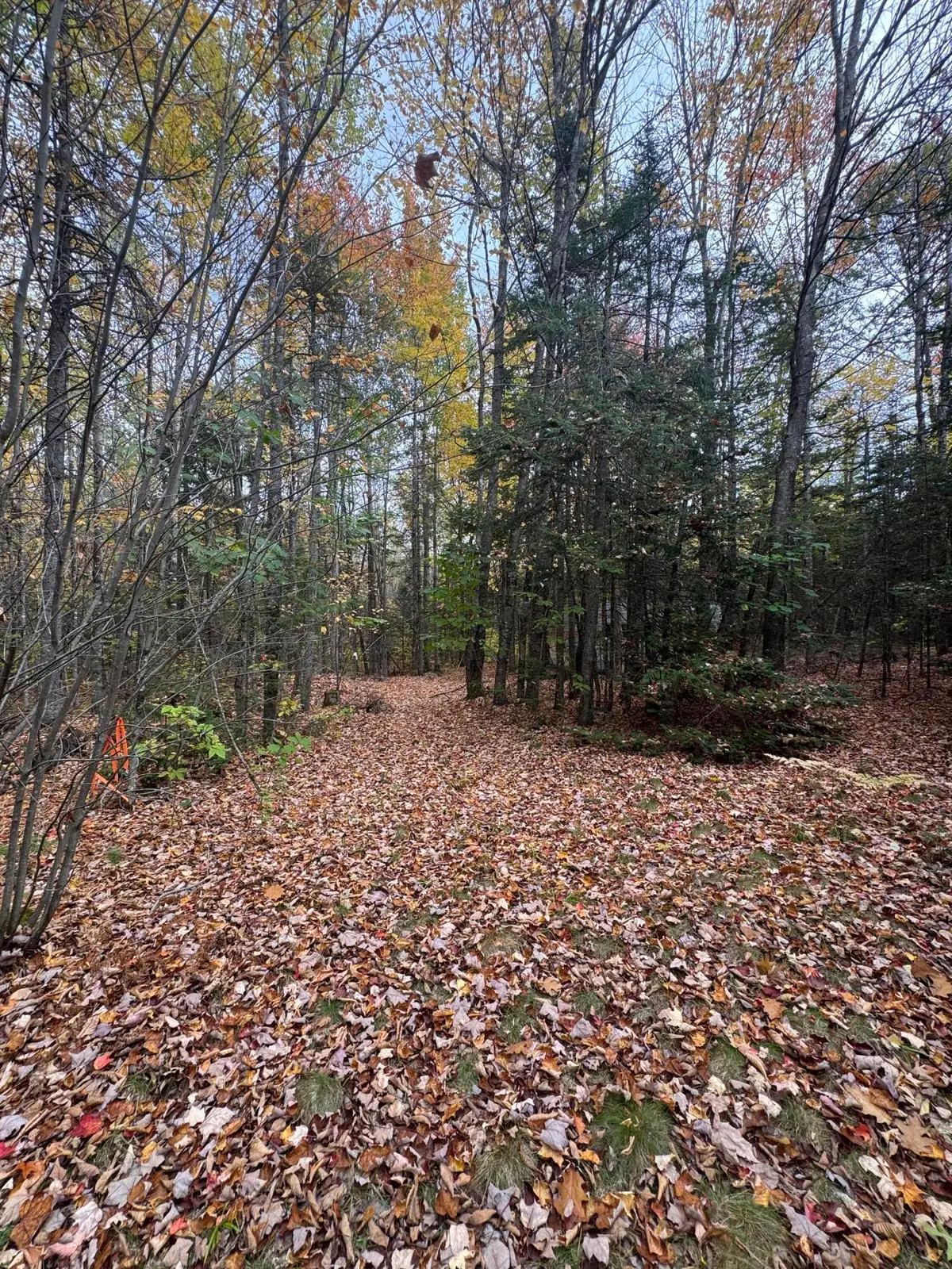 839 Oliver Hill Road, Garland, ME 04939 - #1