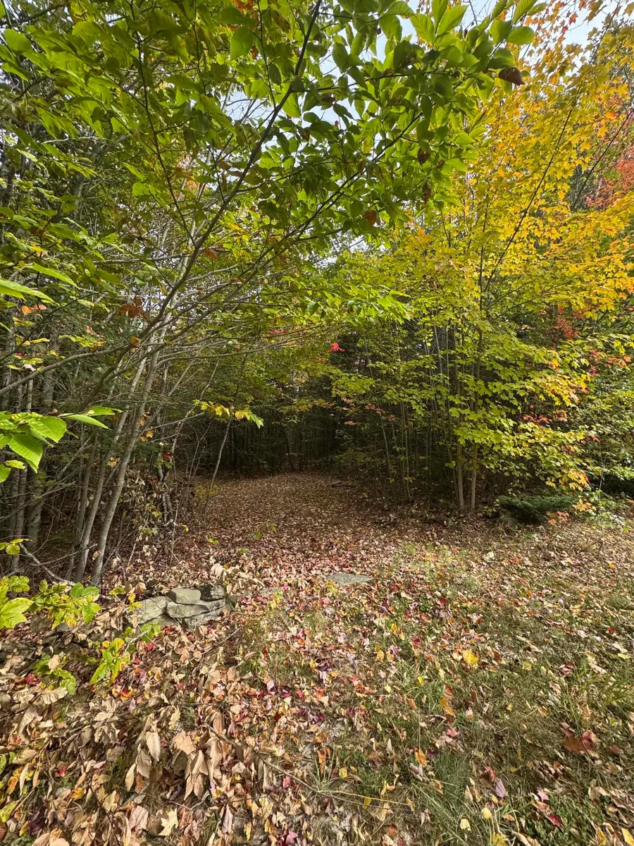 839 Oliver Hill Road, Garland, ME 04939 - #3